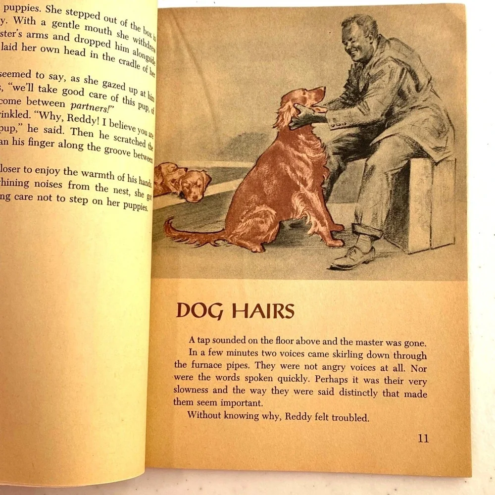 Shamrock Queen Paperback Marguerite Henry Wesley Dennis Golden Retriever